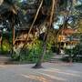 Горящие туры в отель Anahata Retreat - 5