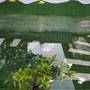 Горящие туры в отель Lake Palace Family Resort Kumarakom - 1