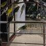 Горящие туры в отель Lake Palace Family Resort Kumarakom - 4