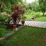 Горящие туры в отель Aqualillies Kumarakom Homestay - 6
