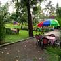 Горящие туры в отель Aqualillies Kumarakom Homestay - 2