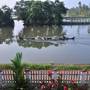 Горящие туры в отель Backwater Breeze - 1