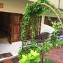 Горящие туры в отель The Ocean Park Beach Resort - 3