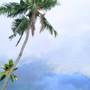 Горящие туры в отель Vijaya Varma Beach Resort - 5