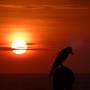 Горящие туры в отель Stay Well Ayurvedic Beach Resort - 5