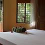Горящие туры в отель Amrutham Ayurvedic Village Resort - 4