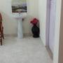 Горящие туры в отель ST Bhavan Homestay - 4