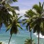 Горящие туры в отель MyStays @Light House Beach, Kovalam - 1