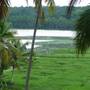Горящие туры в отель Ganesh Holiday Home Bed and Breakfast - 6