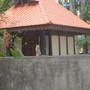 Горящие туры в отель Kaveri Tourist Home - 3