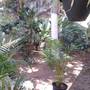 Горящие туры в отель Home Stay Kovalam - 5