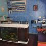 Горящие туры в отель Aapnni Hotel - 4