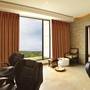 Горящие туры в отель Hilton Jaipur - 2