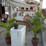 Горящие туры в отель Madhav Guest House - 5