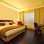 Горящие туры в отель Hotel Marigold - 1