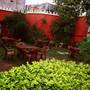 Горящие туры в отель Hotel Sugandh Retreat - 4