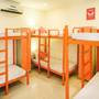 Горящие туры в отель Zostel Jaipur - 6