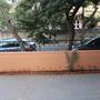 Горящие туры в отель Ecowise Homestay - 6