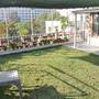 Горящие туры в отель Hostel Rahwaas-A Homely Budget Stay - 4