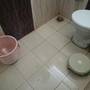 Горящие туры в отель Shree Ram Guest House - 5
