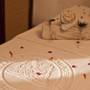 Горящие туры в отель Hotel Narain Niwas Palace - 1
