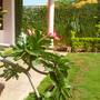 Горящие туры в отель D'Villa Guest House - 4