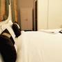 Горящие туры в отель Hotel Dior Jaipur - 1