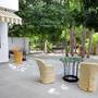 Горящие туры в отель 9 Trees Jaipur - 2
