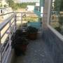 Горящие туры в отель Laxmi Vinayak Hostel - 6