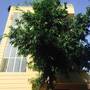 Горящие туры в отель Shanti Homestay - 1
