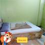 Горящие туры в отель Hotel Red Tomato Palace - 4