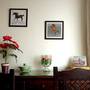 Горящие туры в отель Elegant Homestay in Jaipur - 4