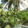 Горящие туры в отель Failaka Guesthouse Hotel - 4