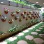 Горящие туры в отель Apollo Greens Serviced Apartment - 5