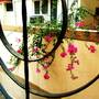 Горящие туры в отель StayWithUs MG Road - 5
