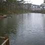 Горящие туры в отель RDS Nature Retreat - 1