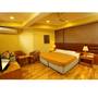 Горящие туры в отель The Ocea International Hotel - 2