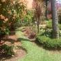 Горящие туры в отель Jade Garden - 3