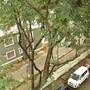 Горящие туры в отель The ArtStudio Bangalore - 5
