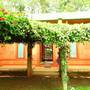 Горящие туры в отель The Courtyard House - 4