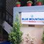 Горящие туры в отель Blue Mountain - 1
