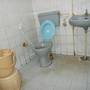 Горящие туры в отель Hotel Sangam Royal - 4