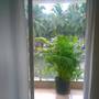 Горящие туры в отель Apartment La Quinta - 3