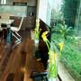 Горящие туры в отель Sonnet Saigon Hotel - 4