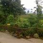 Горящие туры в отель Ta Van Homestay - 2