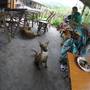 Горящие туры в отель Sapa Volunteer Homestay - 1