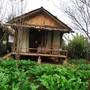 Горящие туры в отель Anh Duc Homestay - 6