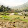 Горящие туры в отель Tavan Ecologic Homestay - 1