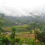Горящие туры в отель Tavan Homestay - 2