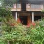 Горящие туры в отель Tavan Homestay - 5
